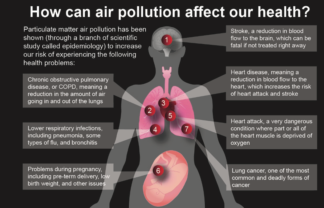 Diagram showing how air pollution affects human health